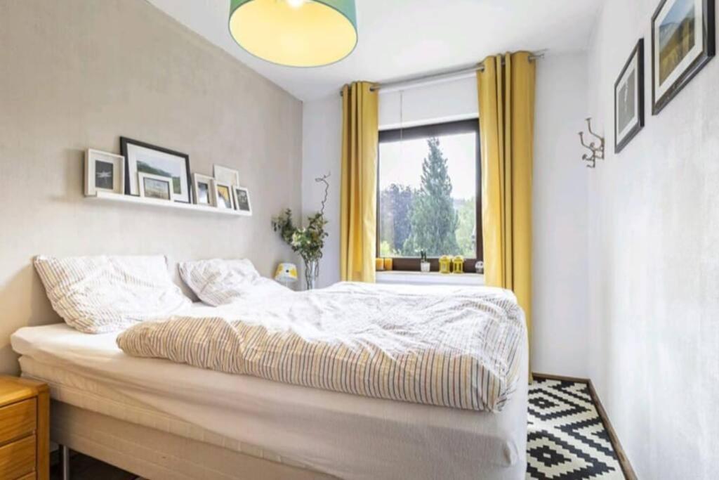 Apartment Mit Kamin-Sonnendurchflutet-Balkon Winterberg Kültér fotó